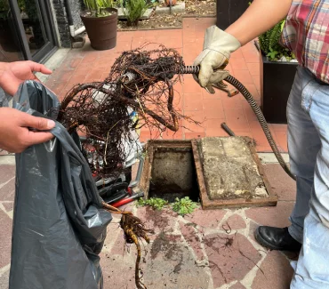 Mantenimiento a un registro en un jardin, el cual ya presenta raiz la cual se enreda en los cables de asero y dejamos de nuevo la tuveria libre